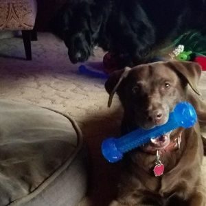 Meet your Posher, Debra